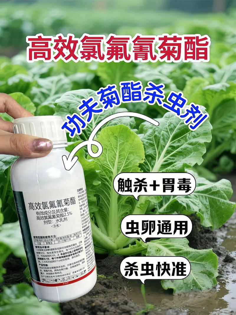 白沙代生中心:农药对供卵代生妈妈的危害